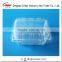 Own Design Factory Custom Packaging Plastic Box Berry