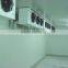 apple cold storage room cold freezer room