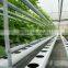 Effective Hydroponics / Soilles / NFT Channel / Growbag / Growing Culture for Hydroponic Greenhouses