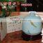 Longquan celadon Hand - bottle of Oujiang color common carp gifts
