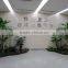 Commerce Building Decoration Artificial Banana Tree
