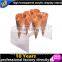 Factory Wholesale Acrylic Ice Cream Cone Display Case Supplier's Choice