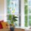 PU Artificial White Calla Lily Mini Plant