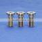 Custom pure titanium / titanium alloy screws
