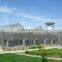 JIASIDA uv coating polycarbonate sheet greenhouse,UV protective polycarbonate greenhouse,polycarbonate sheet for greenhouse