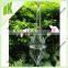 Tear drop&Apple&Pearl&Bulb&Vase&fishbowl&Round Glass Air plants terrarium