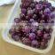 Wholesale high quality natural amethyst quartz crystal healing ball/sphere for decoration