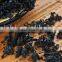 dried seaweed for instant soup best selling in china