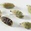 Green Cardamom