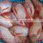 Frozen IQF Red Tilapia fish bulk price