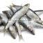 (125 g ) Canned Sardines in Vegetable Oil with Harissa ,High Quality canned Sardines,125g Sardines in cans with Harissa 125g