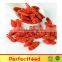 organic goji