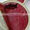 sauce/ fresh tomato/ red color Tomato Paste 400g