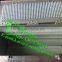 automatic fish scale removing machine / fish scale remov machine / plant price fish scale cleaner machine