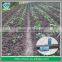 PE Flexible Layflat Drip Irrigation Pipe For Agriculture Irrigation System