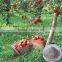 Amino Acid Powder Plant Source Organic Fertilizer