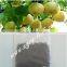 100% Water Soluble Organic Sargassum source Fertilizer