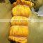 silk fishing net and types of net fabric