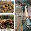 Neweek building timber processing round log circular wood planer machine