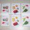 Custom Cheap Flat Fridge Magnets