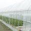 Greenhouse roll up motor for ventilation