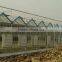 Commercial Greenhouse for agriculture