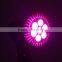 1pcs for sale grow led light E27 Indoor 7W 6 Red 1 Blue Hydroponic Grow Led Lamp for Flower Growth Vegetable Greenhouse