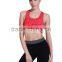 New fashion girls workout sports bra Yiwu manufacture