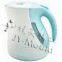Sell electric kettle mould