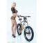 Mountain Bicycle/mtb Bike/mtb Cycle