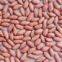 chinese peanut kernels