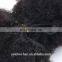 Top Fashion stock 100% unprocessed virgin mongolian hair 4c afro kinky curly