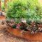 ASTM A588 Corten Steel Garden Edging & Planter