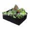 Strawberry Potato Felt Black Grow Bags