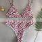 2019 new European and American sexy swimsuit leopard snake pattern high waist ladies bikini