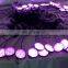 LED Grow Light for Indoor Plant 360 Gooseneck Dual Head Clip-on Plant Lights with Timer Function