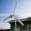 Customized Acceptable Domestic Wind Turbine 600w