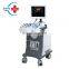 Trolley Color doppler 3D ultrasound machine price/ 3D color doppler ultrasound machine with competitive price