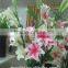 factory new product colorful artificial lily flowers on sale