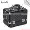 Guangzhou factory hard aluminum rolling make up case cosmetic trolley case for Artist