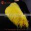 China factory wholesale ostrich feather from south africa