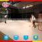 skate rink with high quality ,low price and punctual delivery