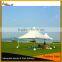 Luxury 5x5m Party Event Pagoda Marquee