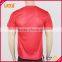 China Manufactuer Custom Polyester Cheap Election T shirt Blank T shirt