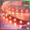 DC 12V RGBW LED SMD 5050 Strip