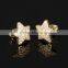 Wholesale Fashion Trendy Stylish Popular Silver Star Crystal Japanese Fashion Earrings