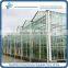 Venlo double Glass Greenhouse