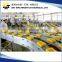 Continuous Non-fried Instant Noodle Production Line/Dried Noodle Machine
