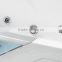 Massage bathtubs with LED light and jets