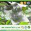 non woven geotextile bags for fruit protection bsg